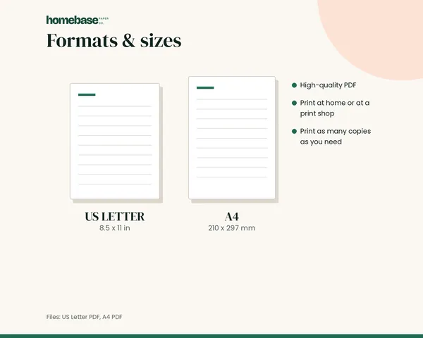 Password & Accounts Log – formats and sizes